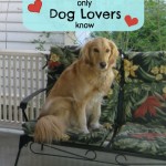 10 Words Only Dog People Know