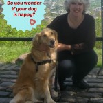 Does Honey the golden retriever look happy?