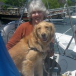 Honey the golden retriever enjoys sailing.
