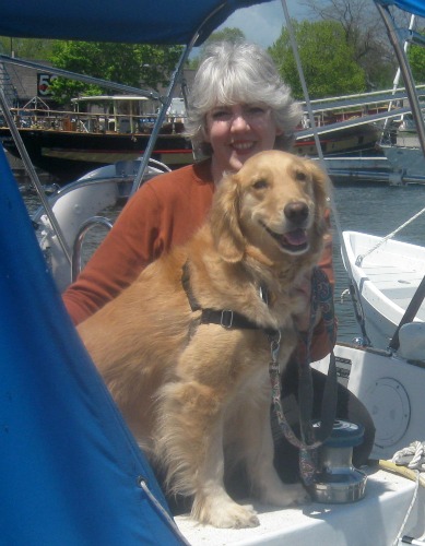Golden retriever on a sail boat.
