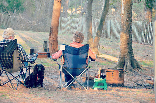 Dog and campers.