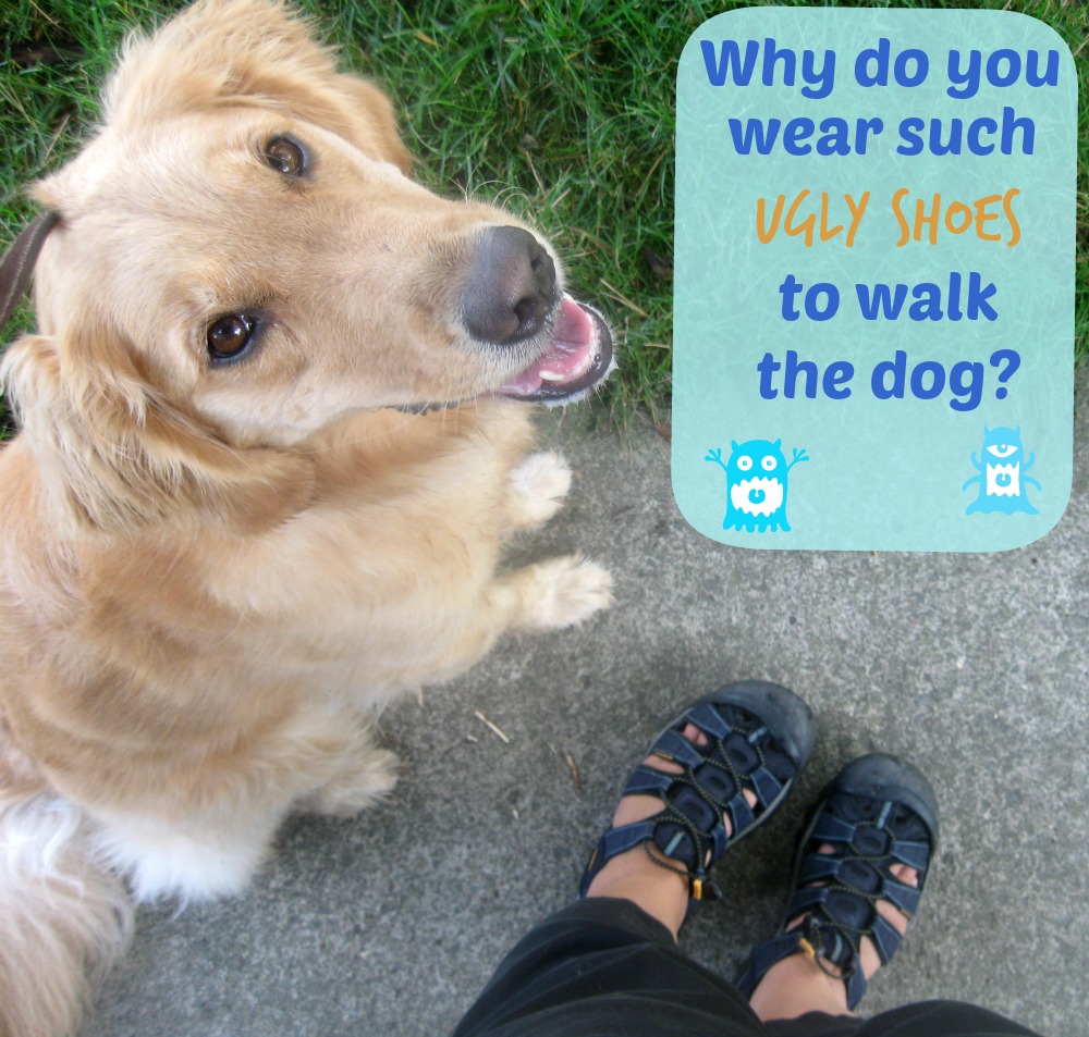 Do you wear ugly shoes when you walk your dog?