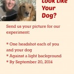 Do you look like your dog.