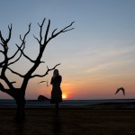 A sunset silhouette