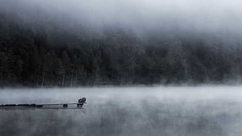 Fog rolls over the lake.