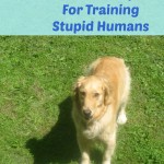 Training stupid humans.