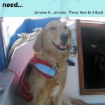 Honey the golden retriever with words of wisdom from Jerome K. Jerome.