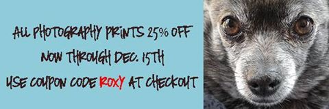 Mary Hone Photography is having a sale.