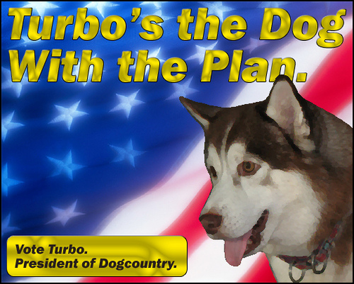 Elect Turbo the Malamute.
