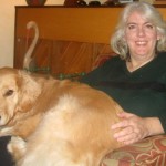 Honey the golden retriever sits on my lap.