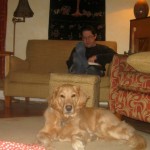 Honey the golden retriever sits in the living room.