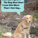 Honey the golden retriever is in love.