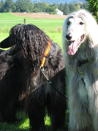 Us? Intimidating? With these smiles?