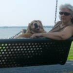 Honey the golden retriever sits on Pam's lap on a swing.