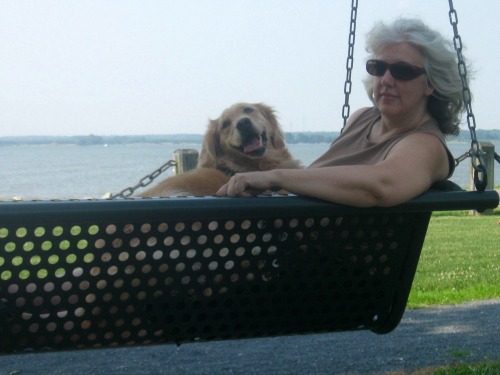 Honey the golden retriever sits on Pam's lap on a swing.