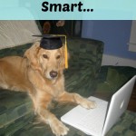 Honey the golden retriever with computer wearing a mortarboard hat.