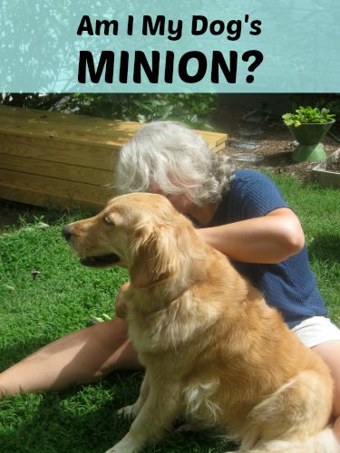 Are you a dog's minion?