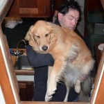 Honey the golden retriever flies up to the cockpit.