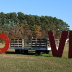 All you need is love.