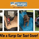 Win a Kurgo car seat cover.