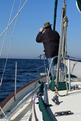 Mike looks for dogs to meet on the horizon.