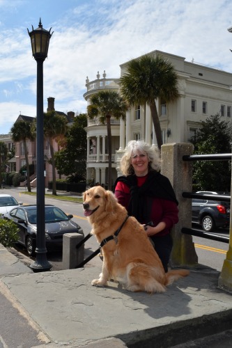 Honey casts shade on the Battery in Charleston.