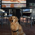 Honey at Sonic.