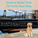 Honey the golden retriever in front of Peacemaker schooner.