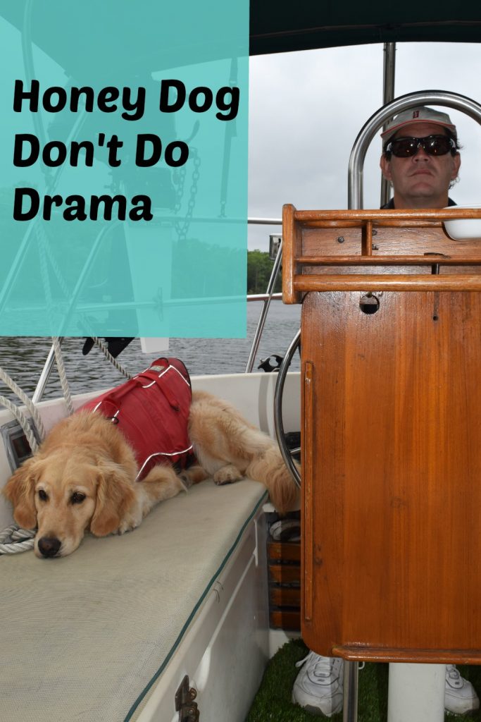 Honey the golden retriever don't do boat drama.