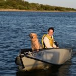 Honey the golden retriever returns to Meander in the dinghy.