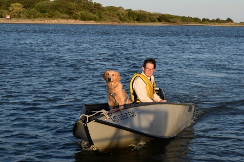 Honey the golden retriever returns to Meander in the dinghy.