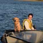 Honey the golden retriever comes back to Meander in a dinghy.