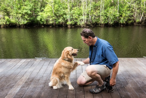 Honey the golden retriever gives her paw to Mike.