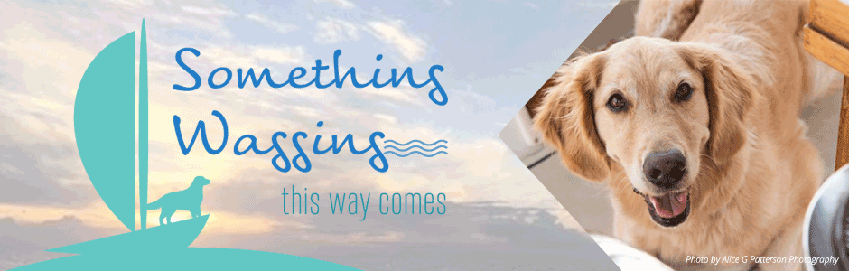 Something Wagging This Way Comes - Life Lessons and More From a Boat Dog