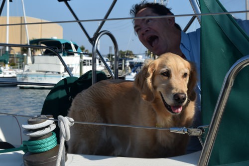 Honey the golden retriever in the cockpit with goofy Mike.
