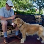 Honey the golden retriever gets some ice cream.