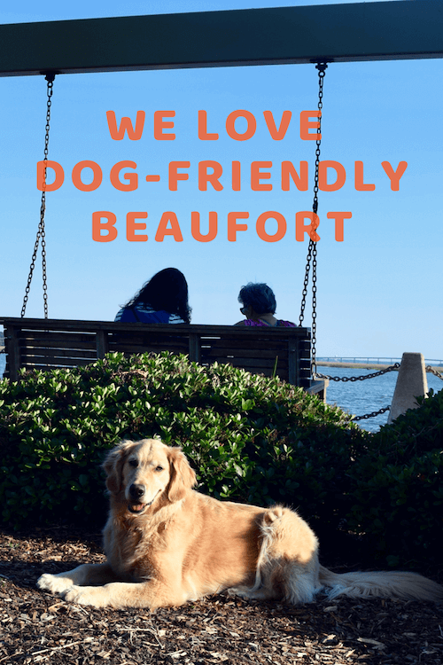 Honey looking pretty in Chambers Waterfront Park is one reason we love dog-friendly Beaufort.