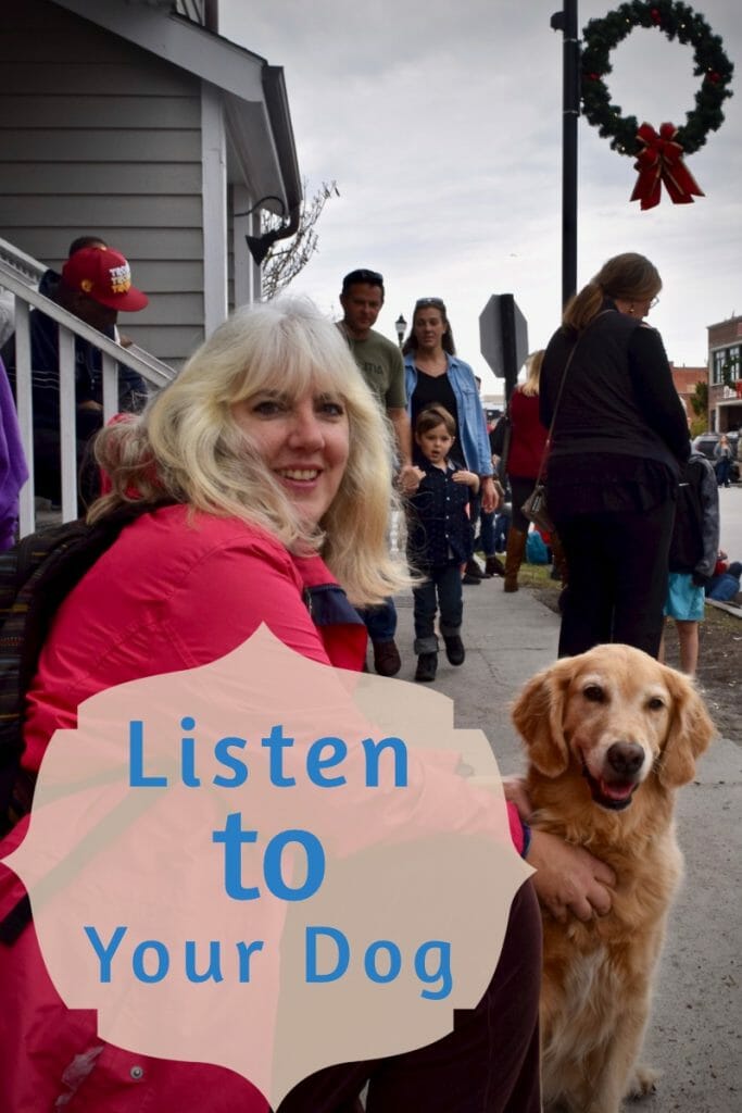Woman and golden retriever in crowd.